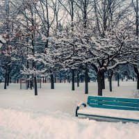 Зима в Украине :: Лариса 