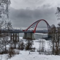 Бугринский мост :: Sergey Kuznetcov