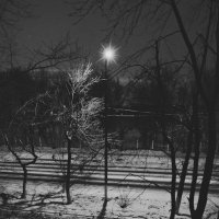 Ночь фонарь. :: Виталий Виницкий