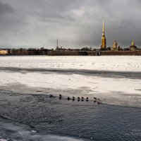 Полынья на Неве :: Владимир Макаров