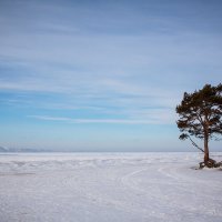 Одиночество. :: Эржена Жамбалова