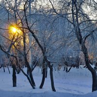 Зима в  "Переделкино" :: A. SMIRNOV