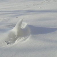 Снежный пик. :: Мила Бовкун