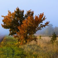 Туман отступил... :: Таволжанский Валентин 