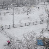 Снегопад или хорошо дома в непогоду :: Валентина Данилова