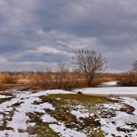 В  дубраву. :: Валера39 Василевский.