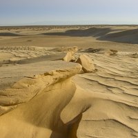 пески Сахары 1 :: julia 