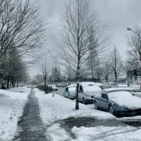 Мокрый снег: грипозная погода :: Виктор (victor-afinsky)