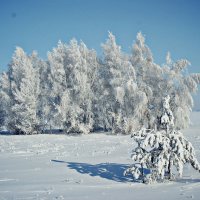 зима 2016 :: Марьям 