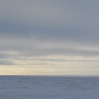 Белое море зимой. Город Северодвинск. :: Михаил Поскотинов