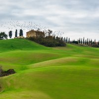 На волнах холмов долины Д Орча. Из серии "Toscana - amore mio" :: Ашот ASHOT Григорян GRIGORYAN