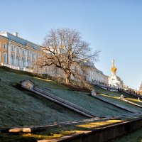 Нижний сад Петергофа - вид на дворец :: Наталья Копылова