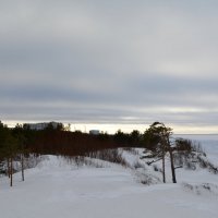 "Дюны зимой". Белое море, г.Северодвинск. :: Михаил Поскотинов