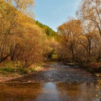 Золотая осень :: Татьяна Соловьева