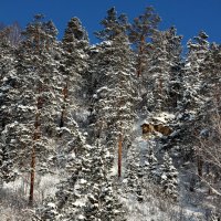 Прекрасный  день :: Радмир Арсеньев