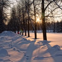 Вечер в зимнем парке :: Ольга Фролова