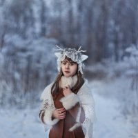 Зимний лес :: Светлана Никотина