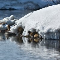 *** :: Ольга Фролова