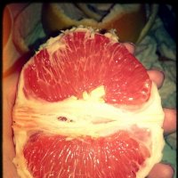 Grapefruit :: Deutsch Rock