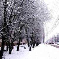 Зима-Февраль :: Анатолий Бугаев