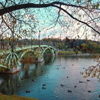 В парке на пруду... :: Евгений Кузнецов