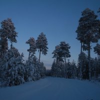 зимне спокойствие :: Шаман 