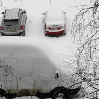 Занесло.......... :: Валерия  Полещикова 