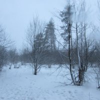 Зима :: Валюша Черкасова