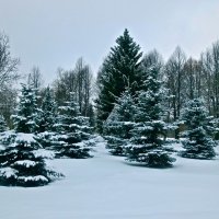 последние зимние деньки :: Елена 