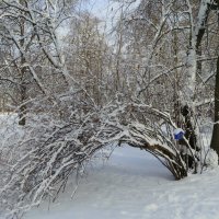 В зимнем парке. :: Валентина Жукова