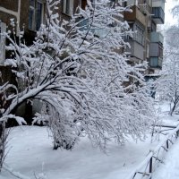 Снежная зима в городе :: Елена Семигина