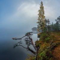 Над водной гладью. :: Фёдор. Лашков