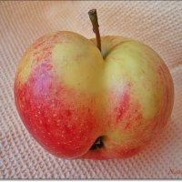 Сердечное яблочко :: Лидия (naum.lidiya)