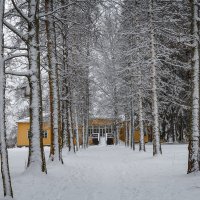 Зимняя аллея. :: Elena Klimova