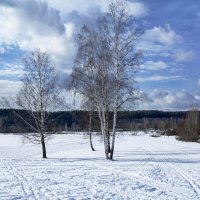 ***** :: Василий Аникеев