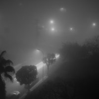 Туман :: Spectre 
