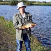 Золотая рыбка :: Игорь kovig2009 