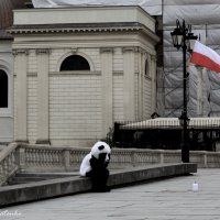 Грусть :: Юлия Горбатенко