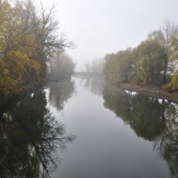 Туман на реке Деме :: Сергей Тагиров
