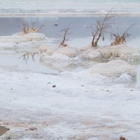 Мертвое море :: Валерий Цингауз