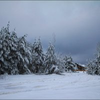 одинокий домик :: Елена Ерошевич