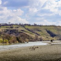 Берега реки Кубань :: Игорь Сикорский