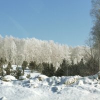 Зима :: Елена Сергеева