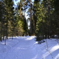 парк зимой :: petyxov петухов