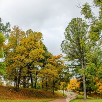 Осень :: Алёнка Шапран