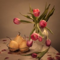 Тюльпаны и груши. :: Лилия *