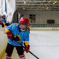 Будущая звезда хоккея. :: Андрей Самсонов