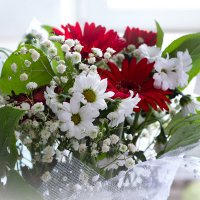 цветы :: Дмитрий Дербенев