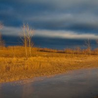 Ледовая дорожка :: M Marikfoto