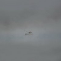 Рыбак в тумане :: Алексей Авраменко